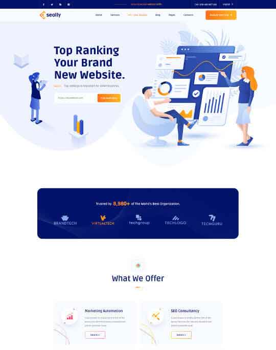 系统优化的免费ddos网页端